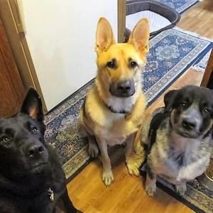 Meet your Posher, Kathy